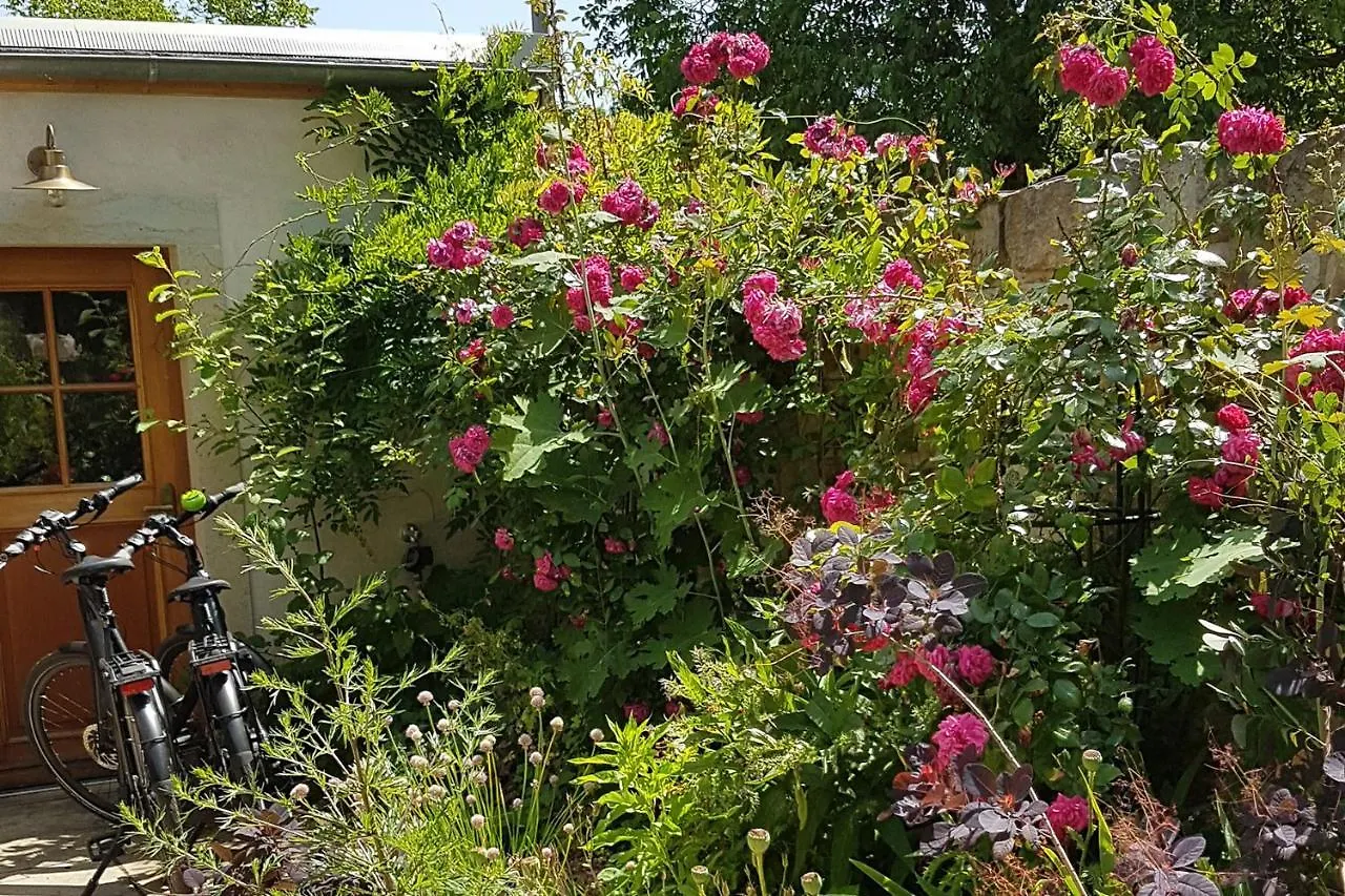 Hébergement de vacances Ferienhaus Zur Ausspanne Dresde